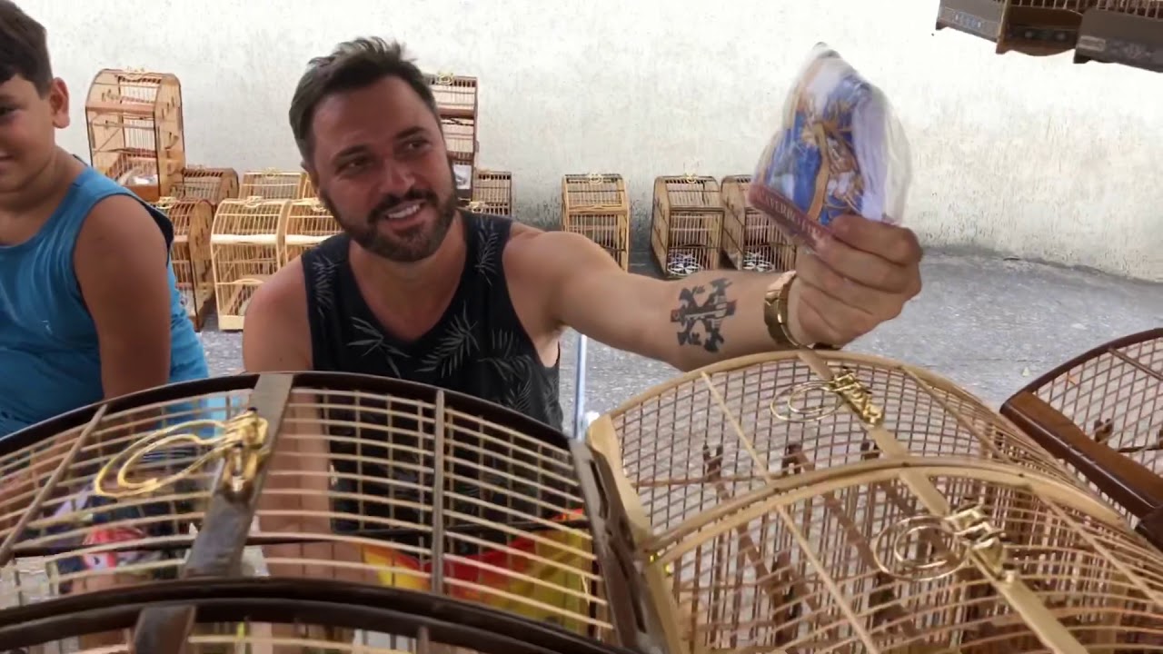 Feira de Duque de Caxias| carlinho da capa