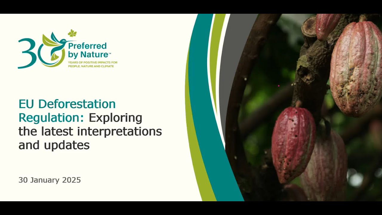 EU Deforestation Regulation: Exploring the latest interpretations and updates