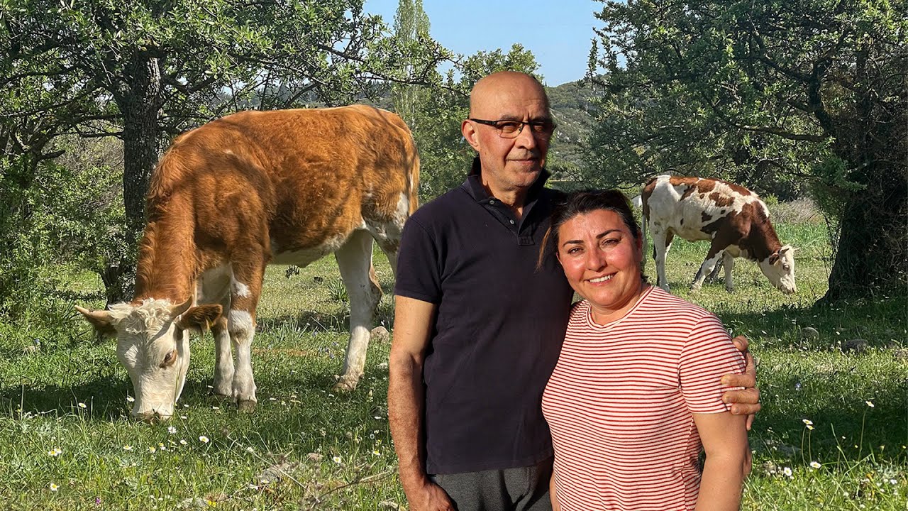 İstanbul'dan göç ettiler, Assos'da hayvancılık yapıyorlar!