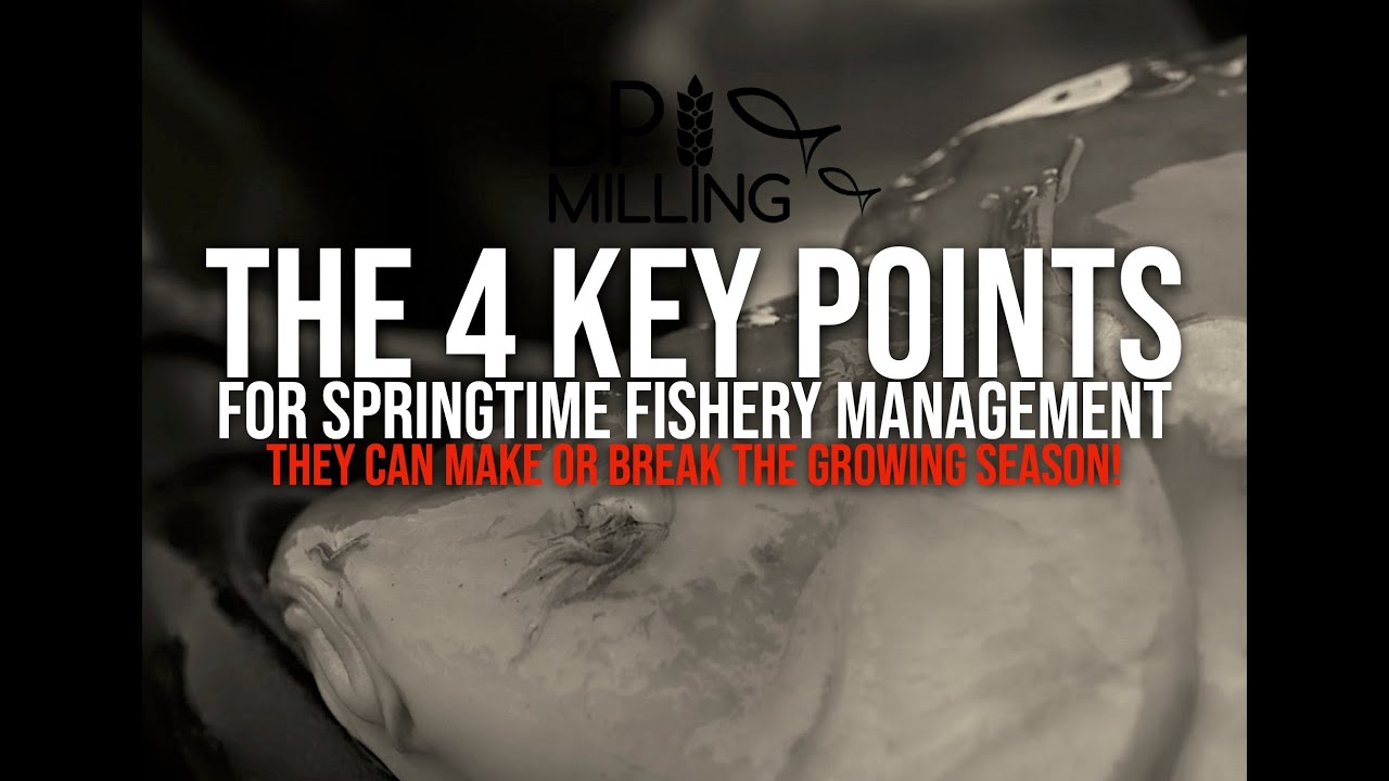 Spring - The most vulnerable time for fish, 4 key points to understand for a problem free transition