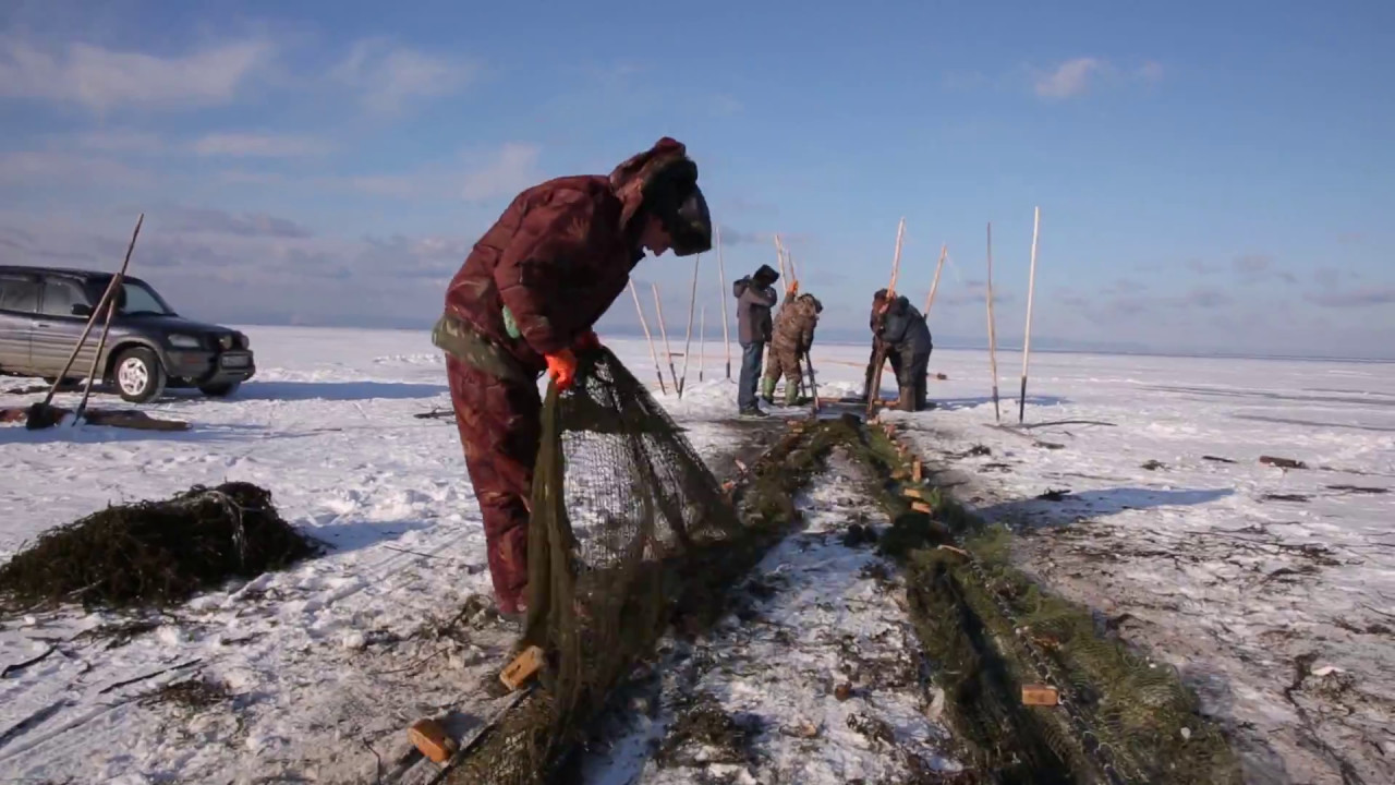 В Бурятии началась очистка акватории Байкала. Кто и как очищает самое глубокое озеро мира.