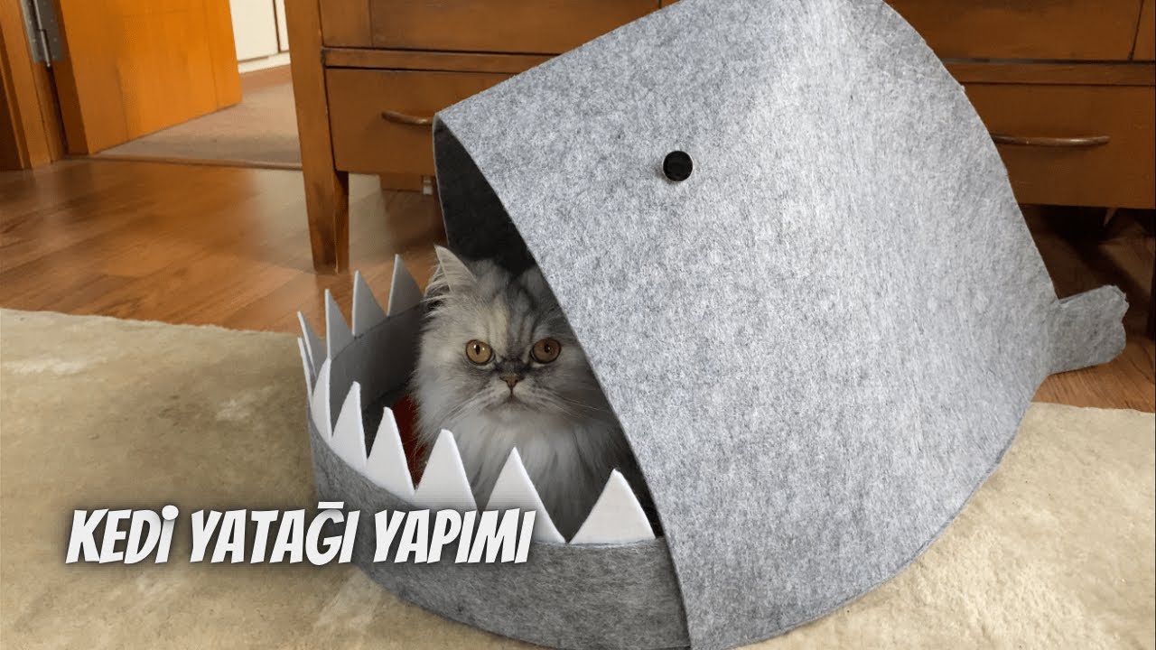 Kedi yutan köpek balığı görünümlü kedi yatağı yapımı, kendin yap, DIY
