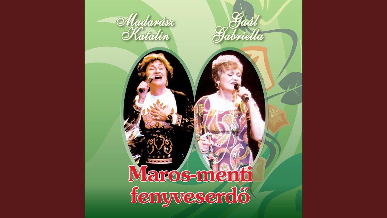 A Maros-menti fenyveserdő aljába