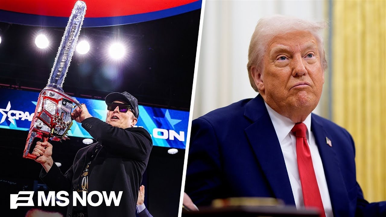 'Failure!': Trump and Musk&rsquo;s DOGE DISASTER of 2025