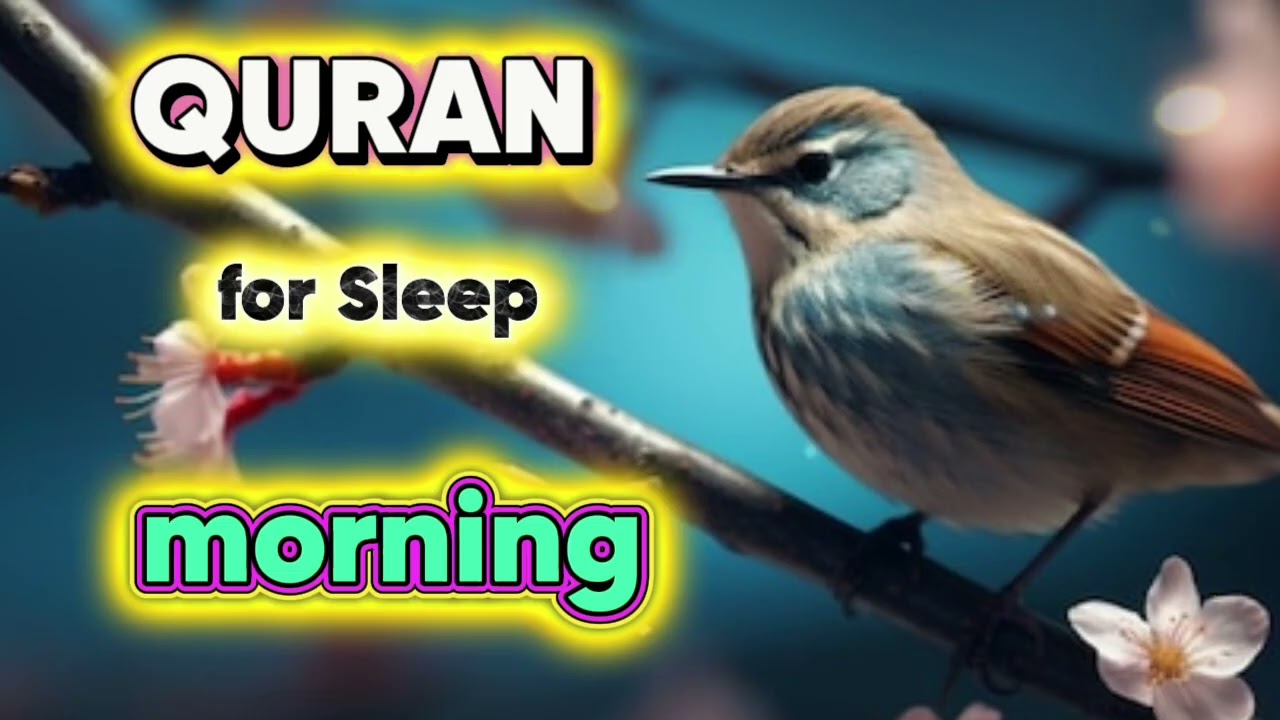 🔊Best Ruqya, Quran for sleep The secret to increasing rizq and well-being, brings barakat and relief