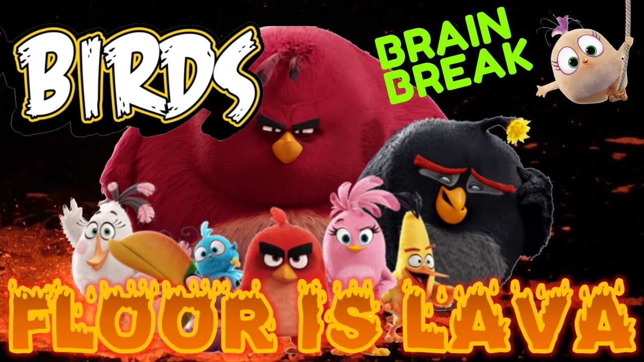 BIRDS: FLOOR IS LAVA BRAIN BREAK! EXERCISE BREAK. Just Dance for Fun, Movement Activity.