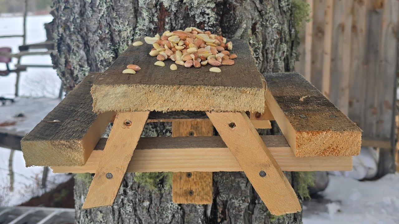 DIY Squirrel Picnic table - hand tools only, quick and easy! 