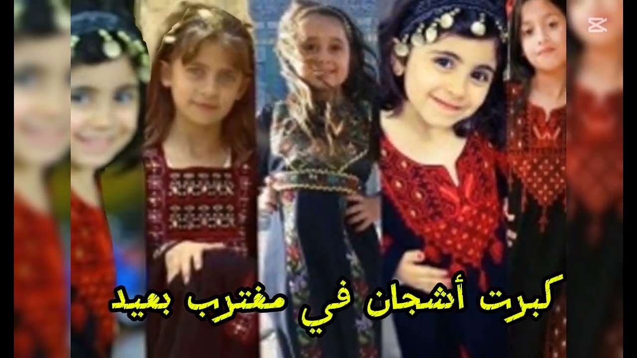 أنشودة الأرجوحة  أداء عنان خياط