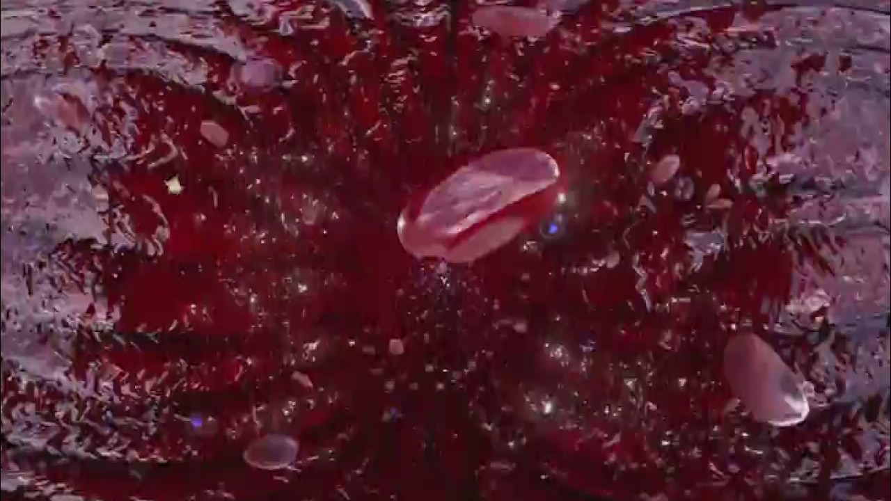 Viaje por la sangre hacia el cáncer hematológico (2016)