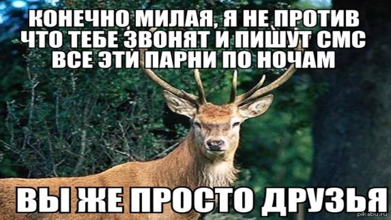 Алень-друг. Цикл увлекательные истории