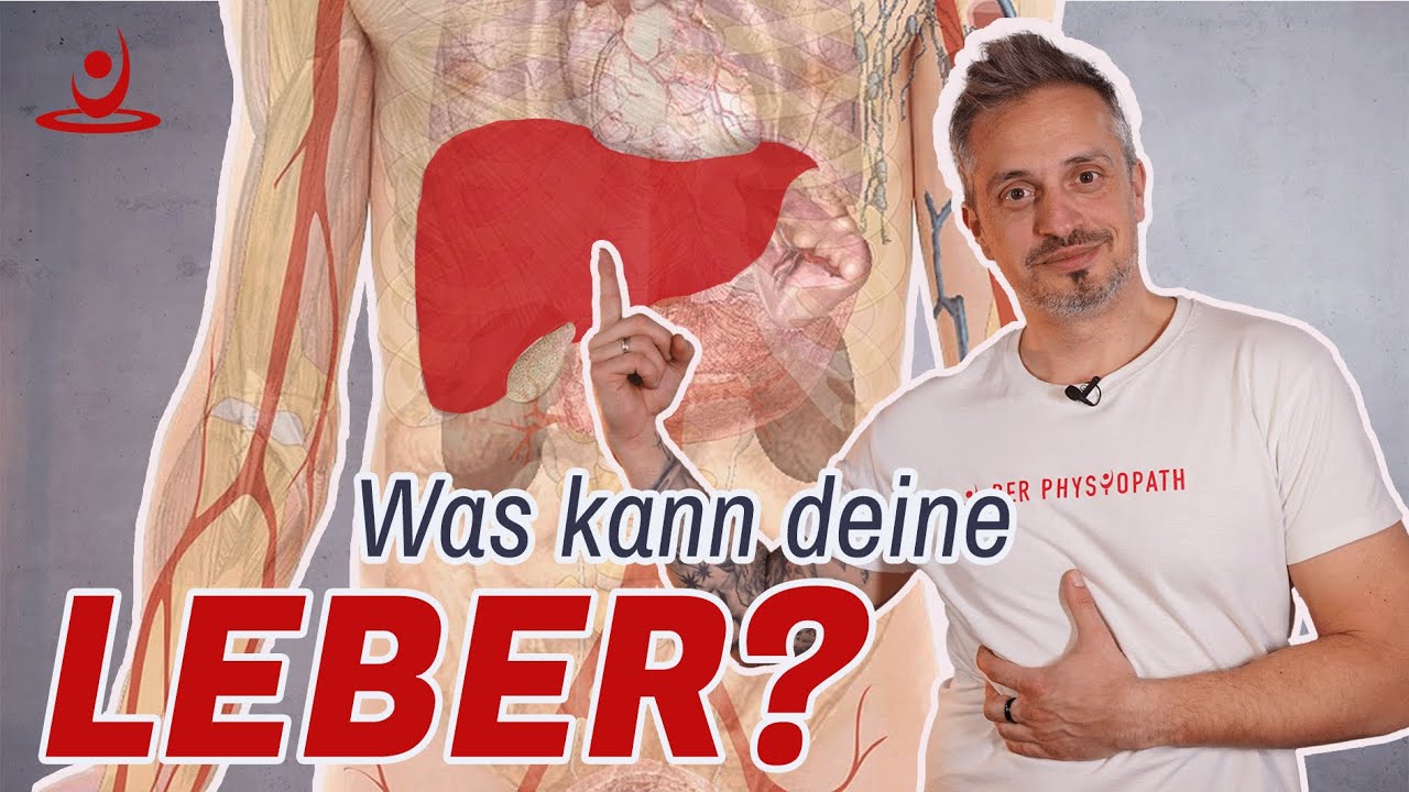 SCHULTER- ODER RÜCKENSCHMERZEN? LASS DEINE LEBER CHECKEN!
