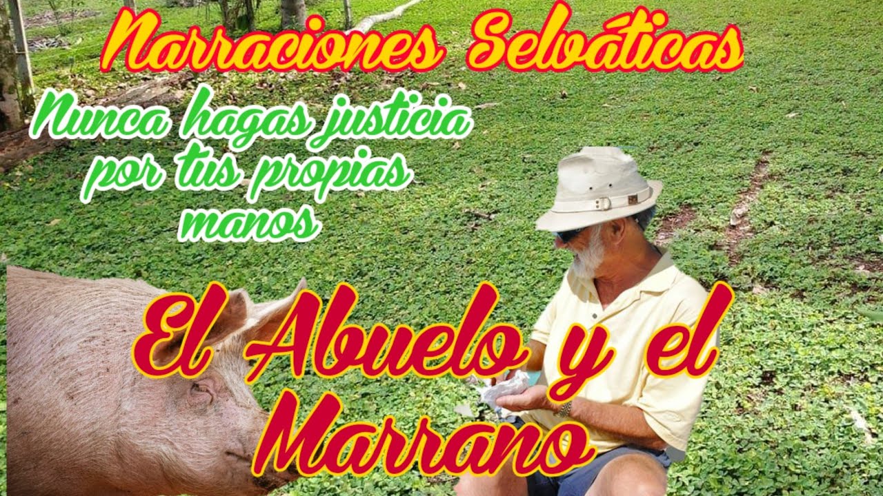 El Abuelo y el Marrano/ Nunca hagas justicia por tus propias manos.