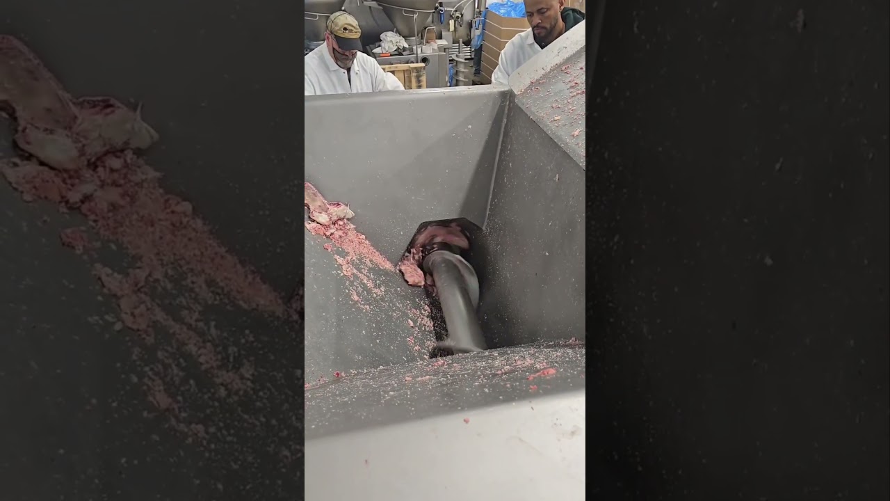 Fresh and Frozen Bone Grinder