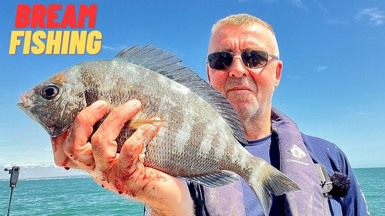 BREAM FISHING [sea fishing uk]
