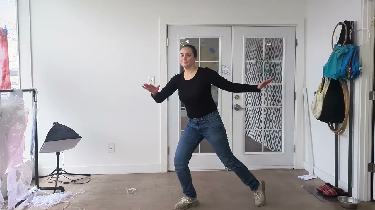 Go With The Flow Turtles Dance Part 2