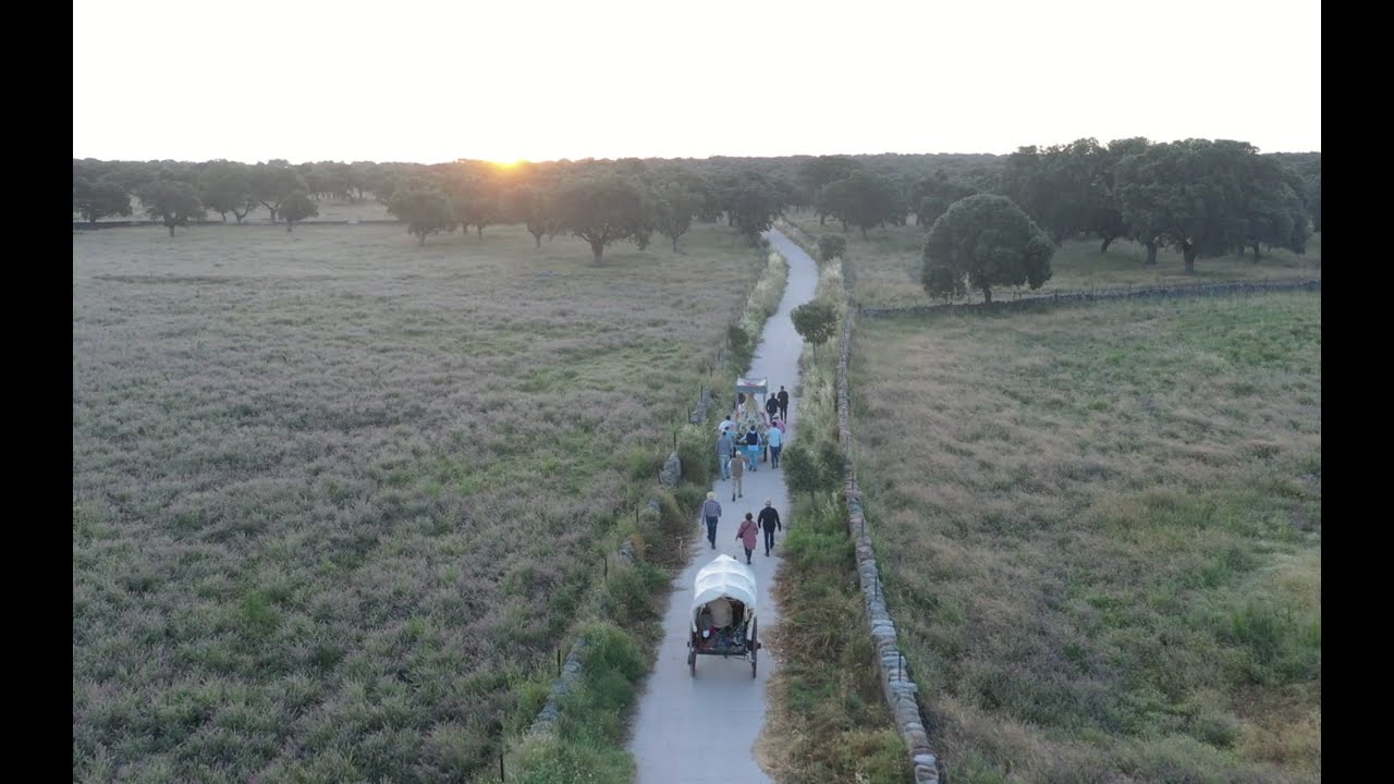 Teaser video Traslado virgen de luna COVID 2020