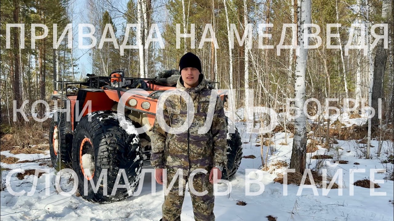 МЕДВЕДЬ | ПРИВАДА | СЛОМАЛИ ТРАКТОР В ТАЙГЕ | СОЛОНЕЦ | ЛОШАДИ | БОБРЫ