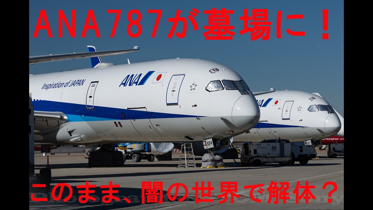大地を駆けるBMW【２】　アメリカ国立公園と心を整える旅　２０２３　飛行機の墓場　モハベ　ＡＮＡ７８７　解体待ち？