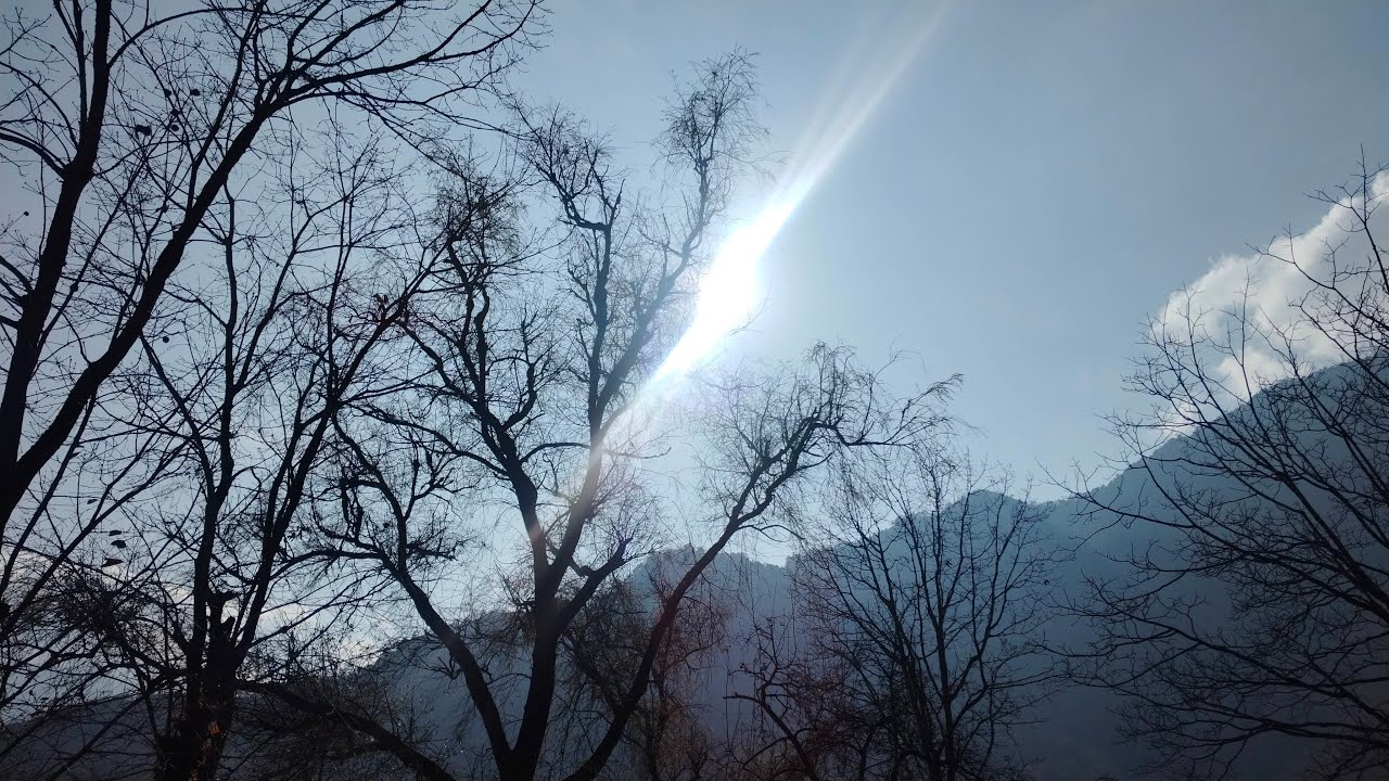 જંગલ 🏔️⛰️🌿🌲