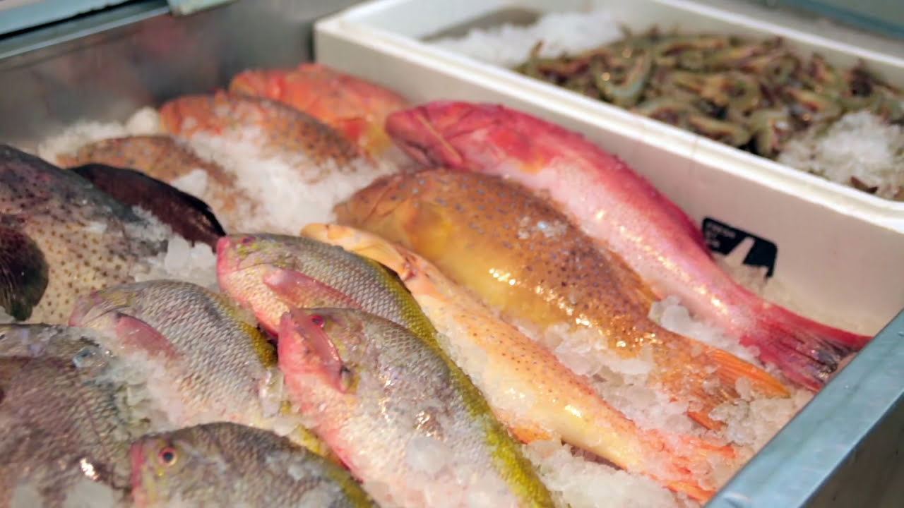 Branding for Success - Song Fish Dealer