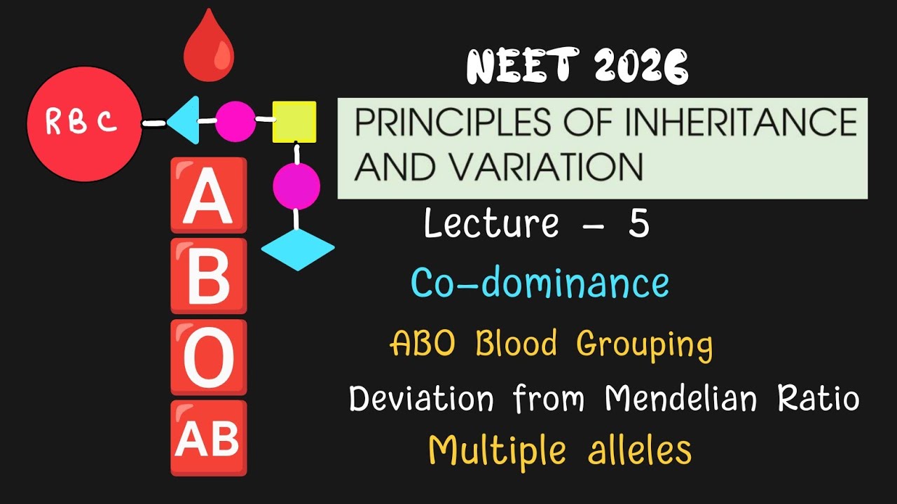ABO Blood Grouping| Co-dominance| Genetics for NEET| NCERT CLASS 12 BIOLOGY| TARGET NEET 2026