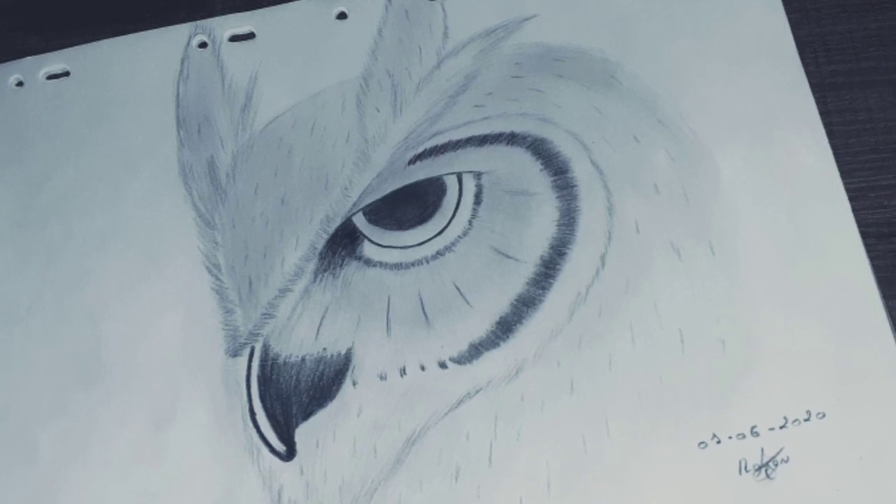 Comment dessiner un hibou réaliste au crayon ?!?