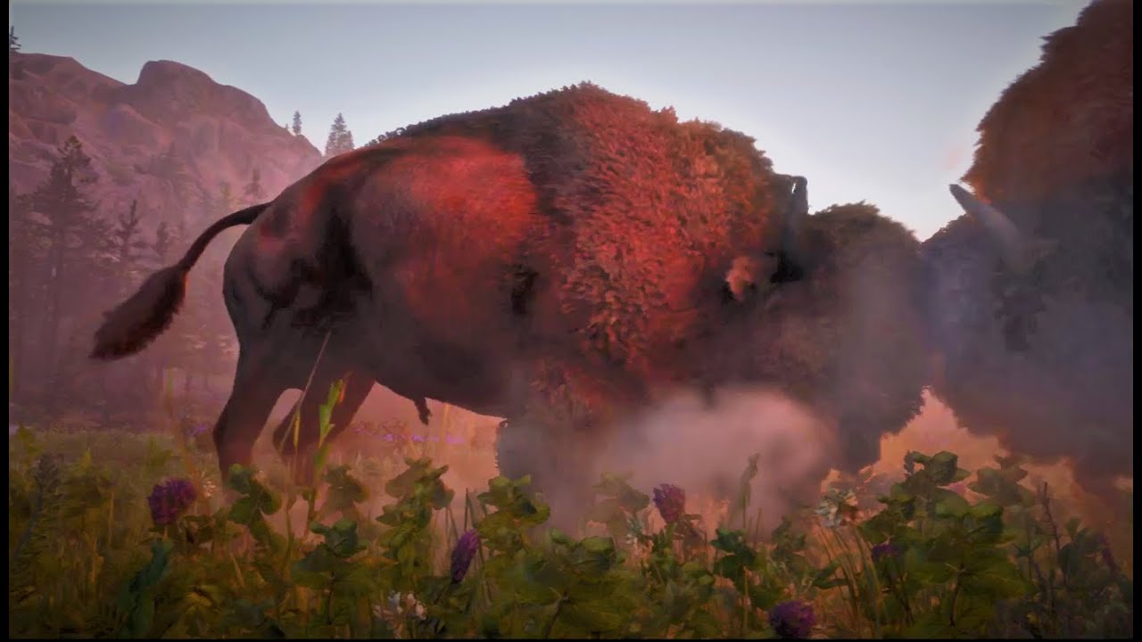 RDR 2 ONLINE - NATURALIST DLC - LEGENDARY ANIMAL MISSION - LEGENDARY PAYTA BISON
