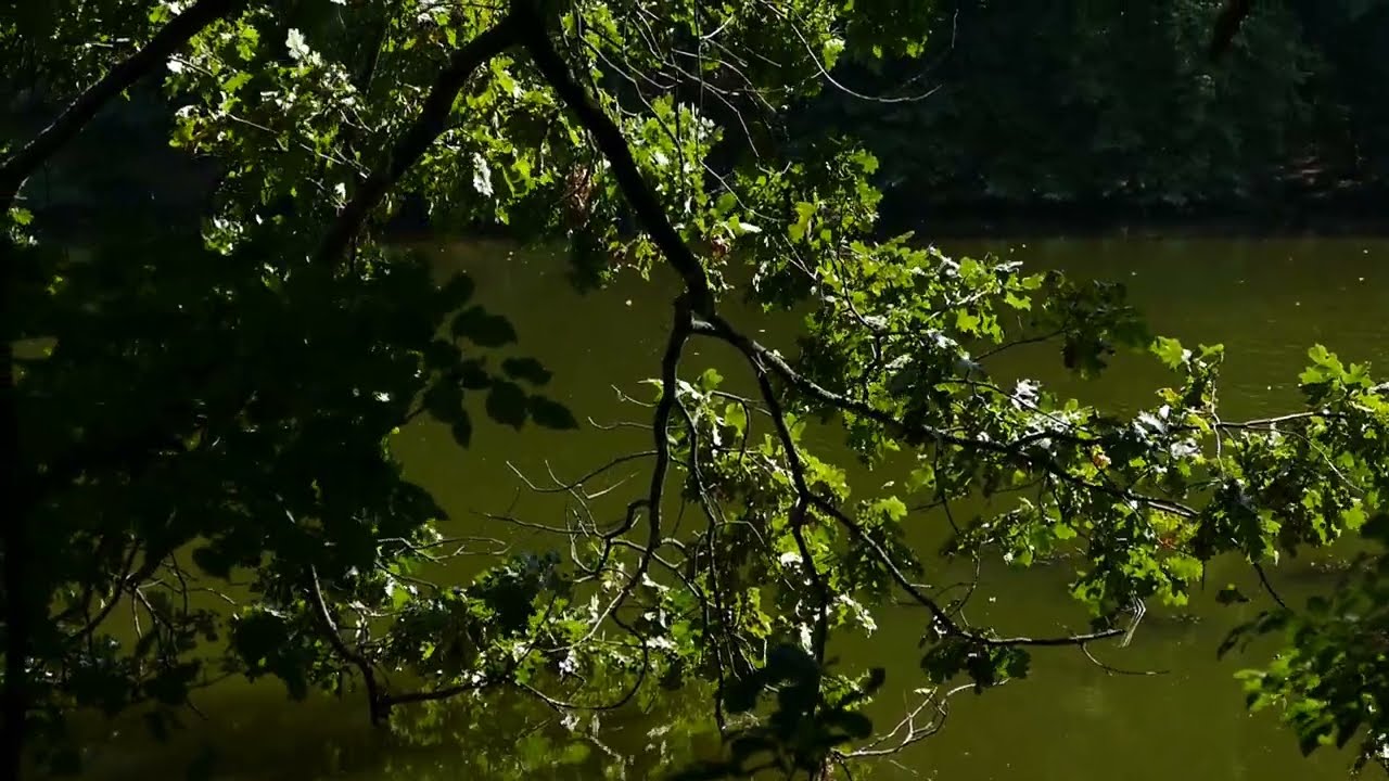 Обещанный День 🍃