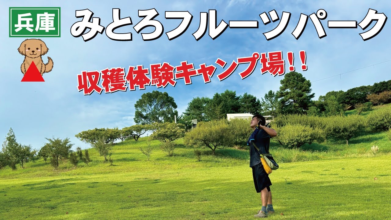 年中収穫体験！みとろフルーツパークキャンプ場はこんなところ