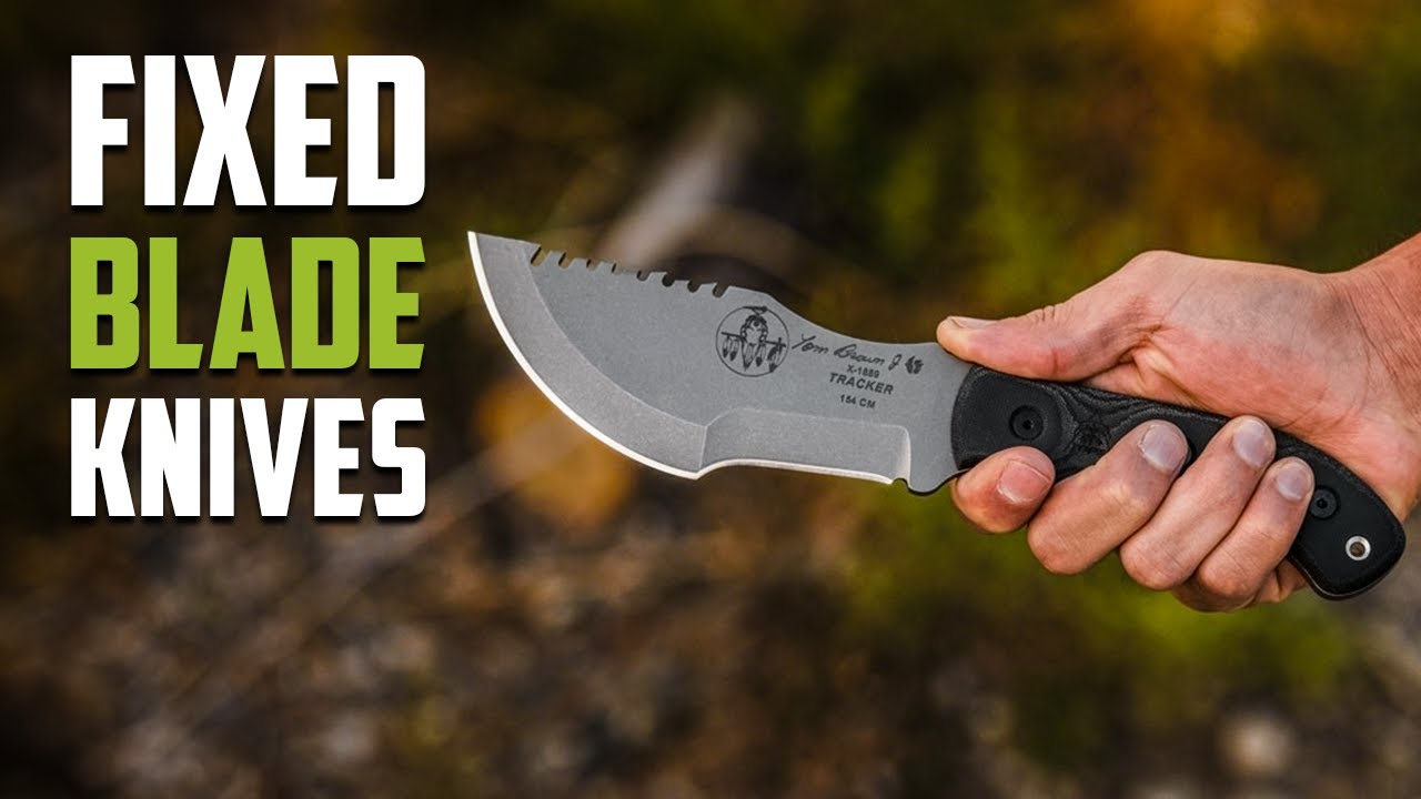 30 Best Fixed Blade Survival Knife You Can Rely On