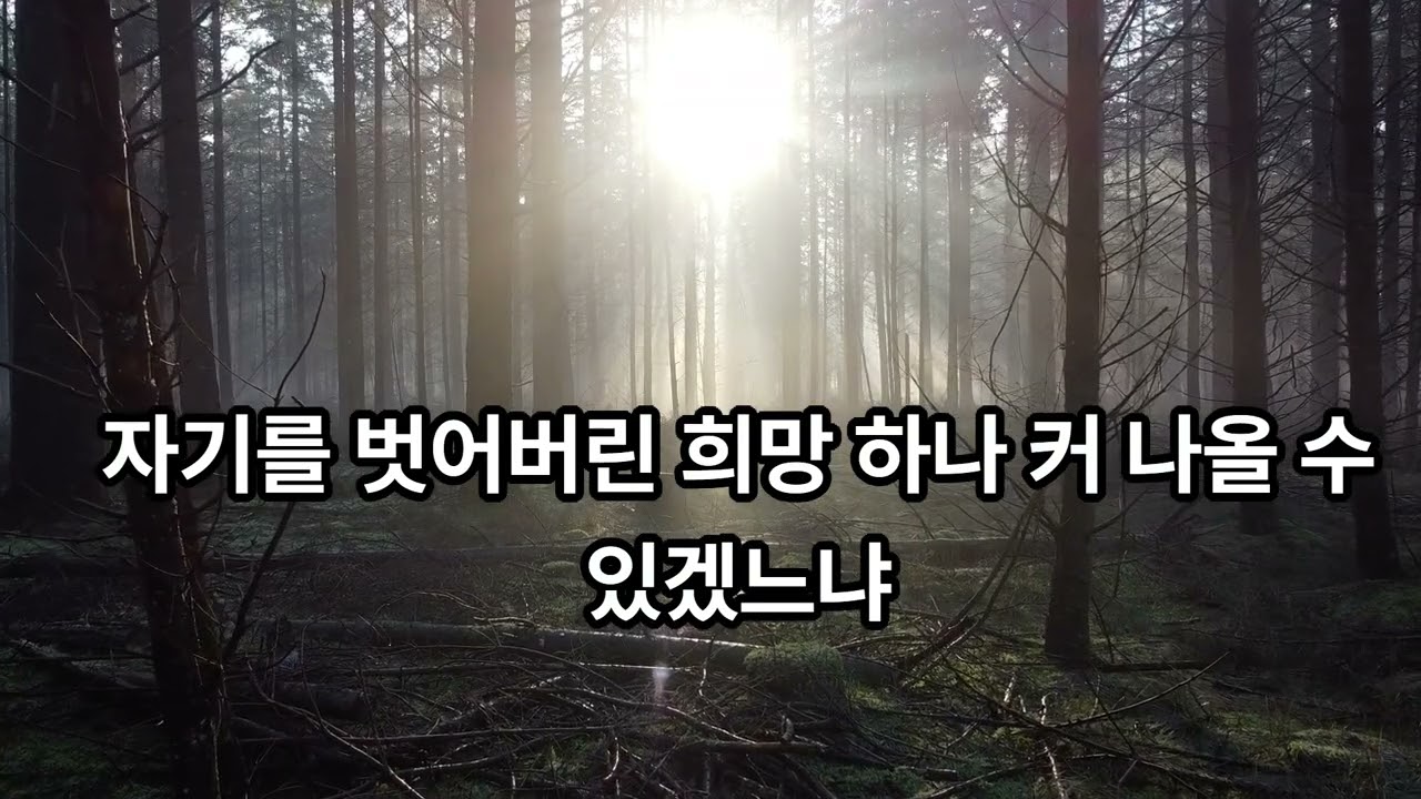 겨울사랑 - 박노해
