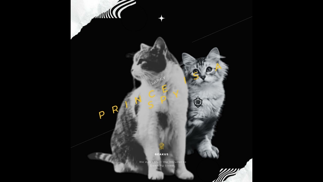Larry Vs Prince - Beakus