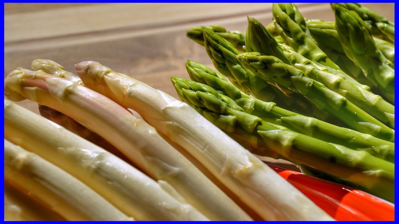 Growing White Asparagus and Growing Tips (Amazing)
