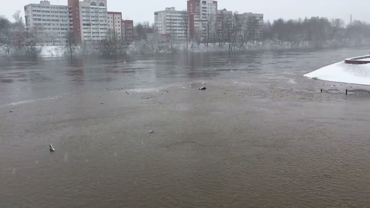 Рыбка утонула - Витебск паводок двина витьба