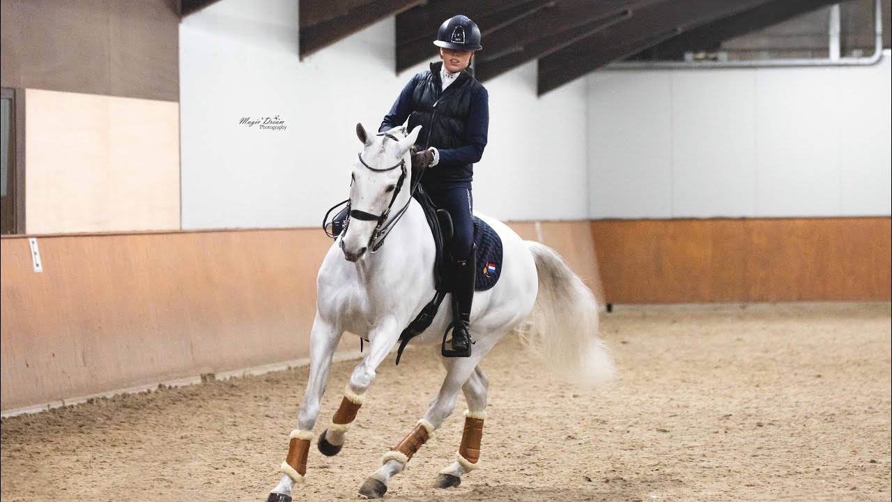 WINNEN 🥇 op onze eerste internationale working equitation wedstrijd van 2023?!🔥