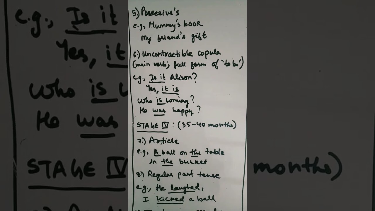 Stages of Roger Brown|  Order of acquisition of english grammatical morpheme
