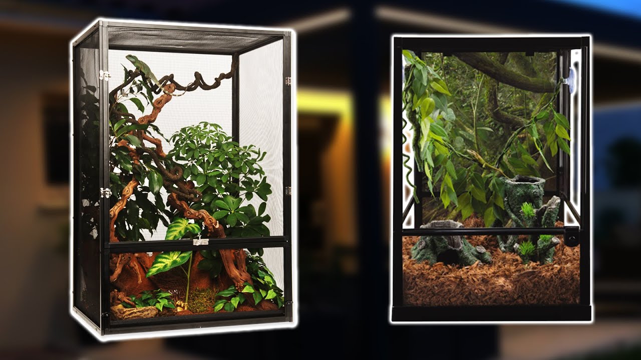 AMÉNAGER UN FLEXARIUM