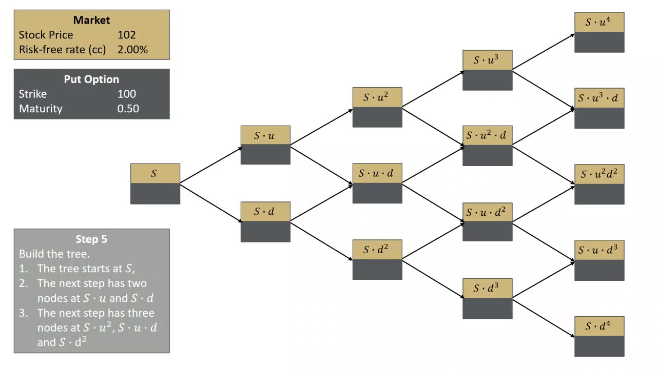 Binomial Tree - Four Step European Put Option