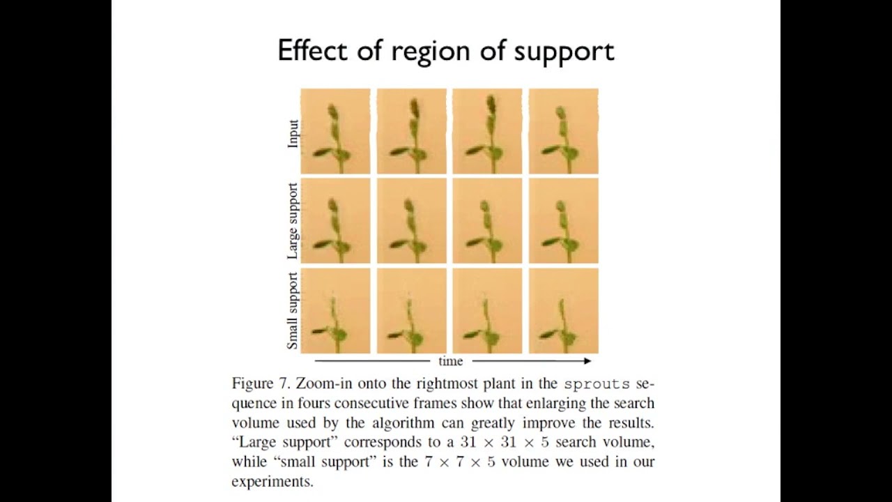 William Freeman: Motion Magnification and Motion Denoising