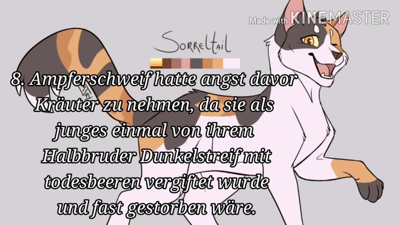 20 Interessante Warrior Cats Fakten