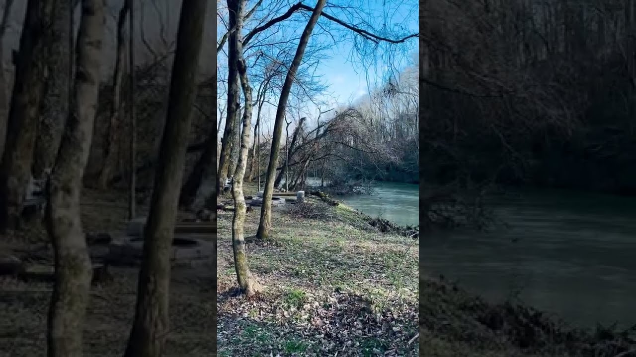 Our Off-Grid Micro Cabin Next To A Creek!