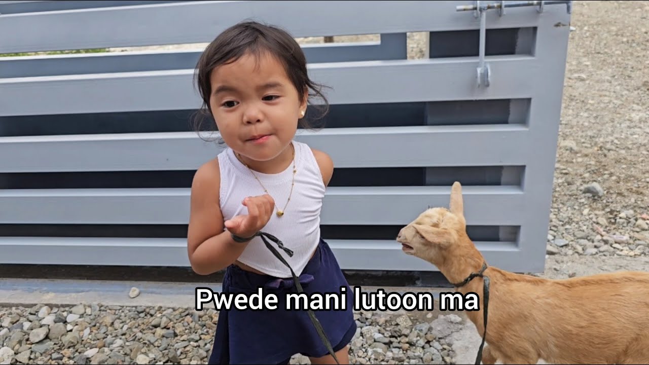 Karne sa Kanding