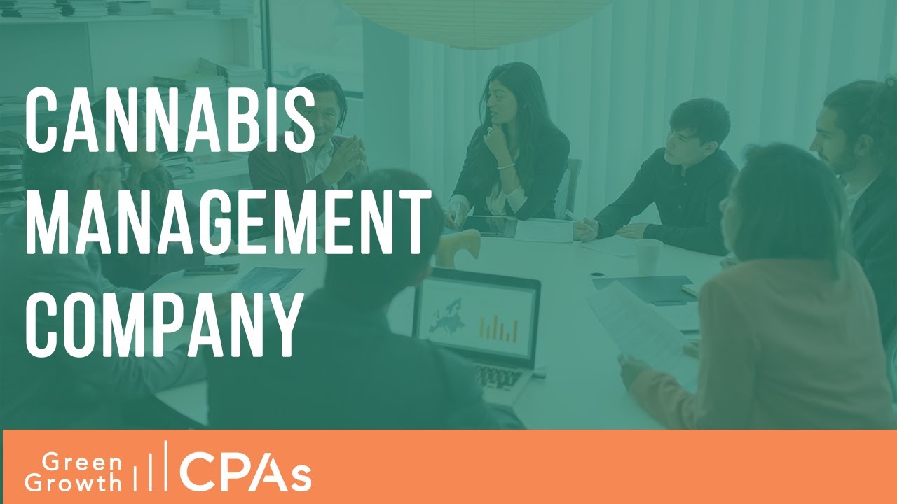 Cannabis Management Company - Cannabis Business Taxes