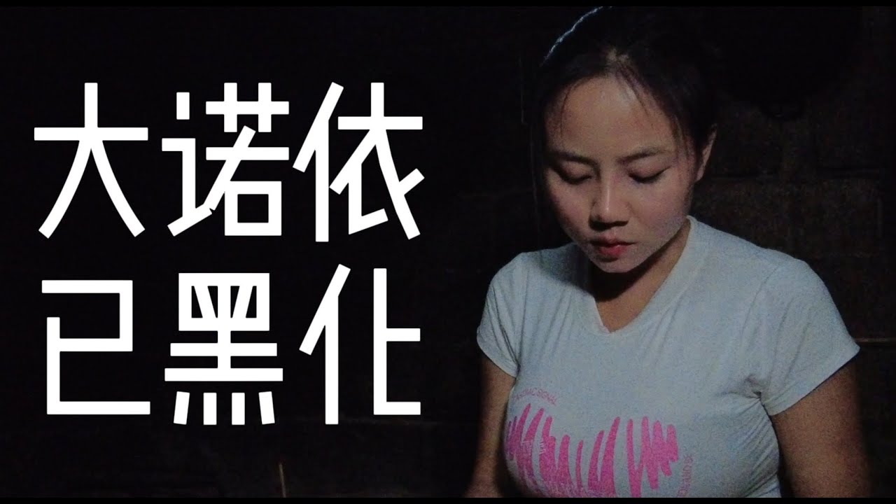 我们家的诺依不听话了，隔壁家的诺依已经走上了不归路