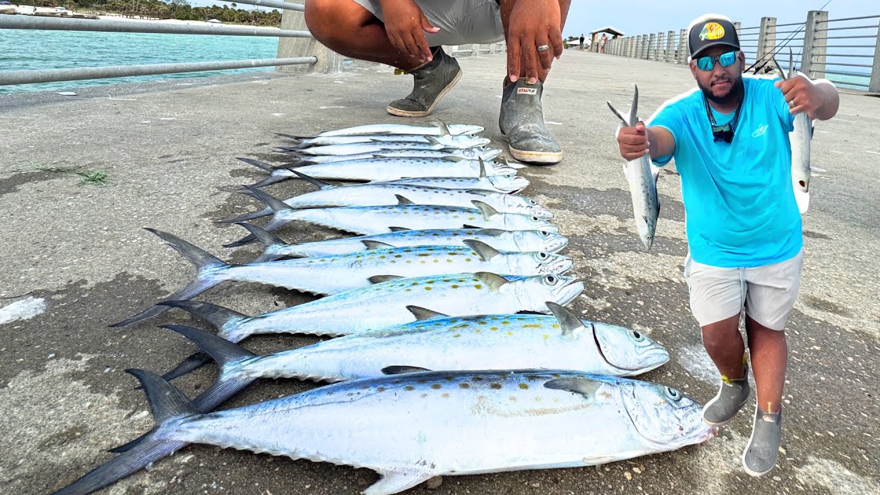 THOUSANDS of Spanish Mackerel at FORT DESOTO Fishing Pier!  ​  @FishOnChannel @fishingwithlos8191