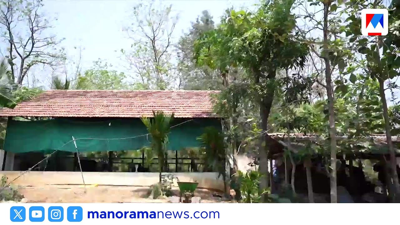 സപ്ലൈക്കോ വഴി നെല്ല് കൈമാറിയ കർഷകർക്ക് സർക്കാരിൻറെ വക വായ്പാ കുരുക്ക് | Supplyco