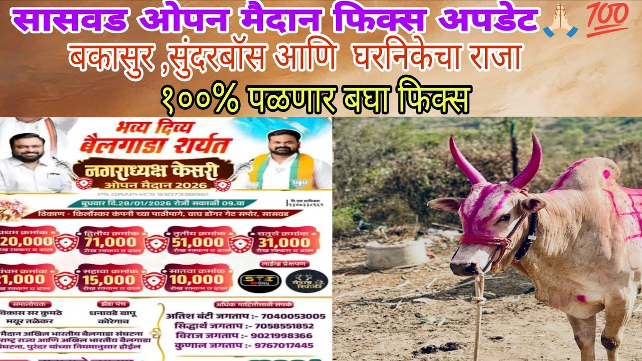 बकासूर 100% पळणार 🔥 मौजे सासवड ओपन मैदान फिक्स अपडेट#bakasur #bailgadasharyat #bailgada #viral 