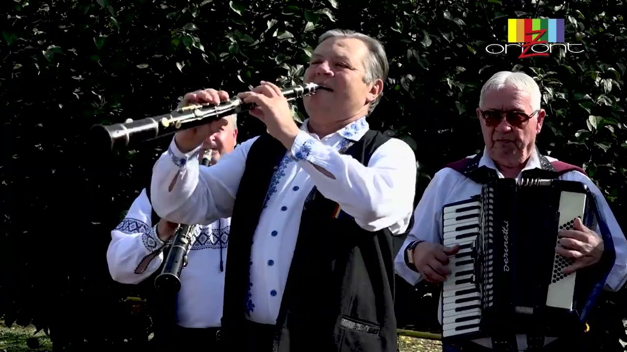 Nelu Gabor - Hațegana din Zau de Câmpie