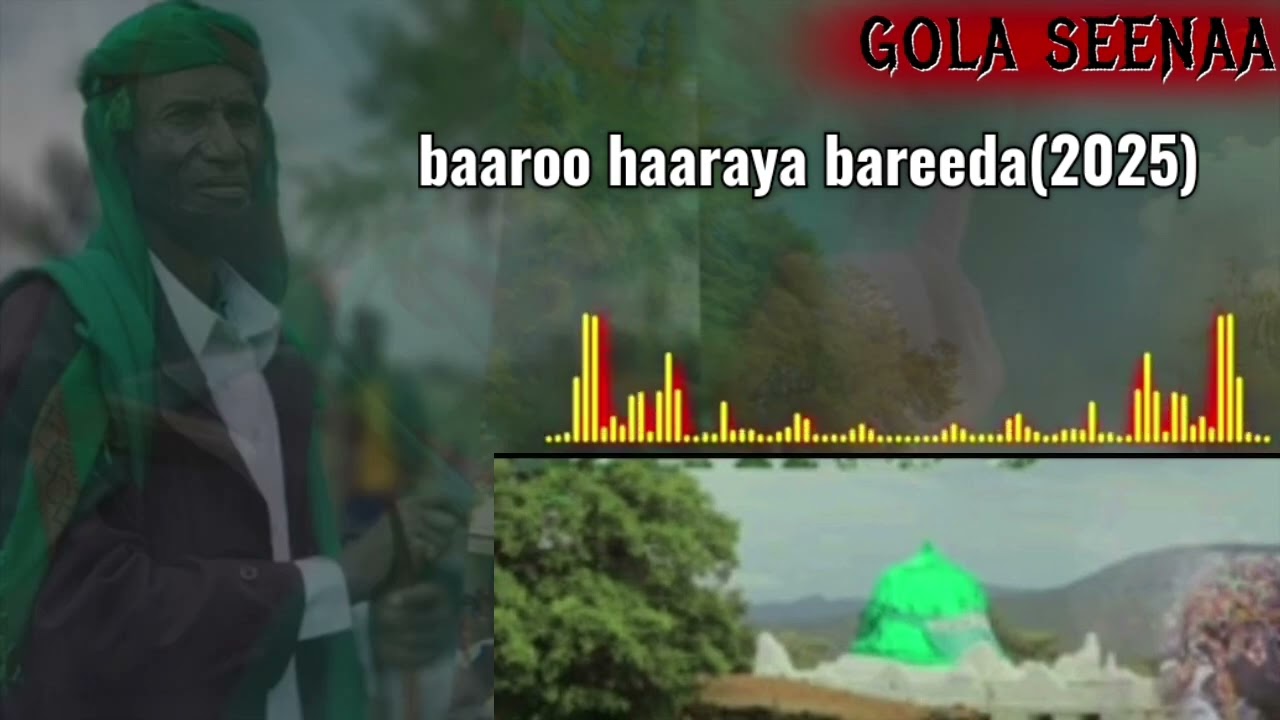 Baaroo haaraya bareeda #jamaal_saanii)