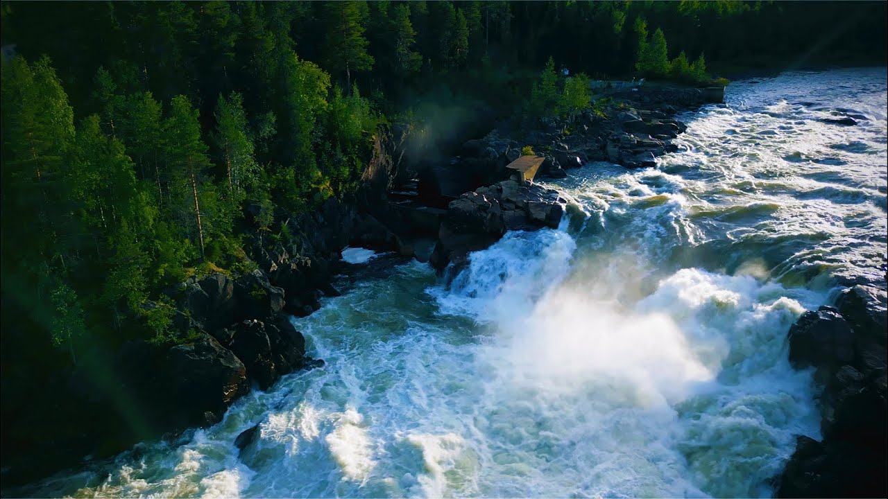 Salmon Fishing Northern Sweden / 